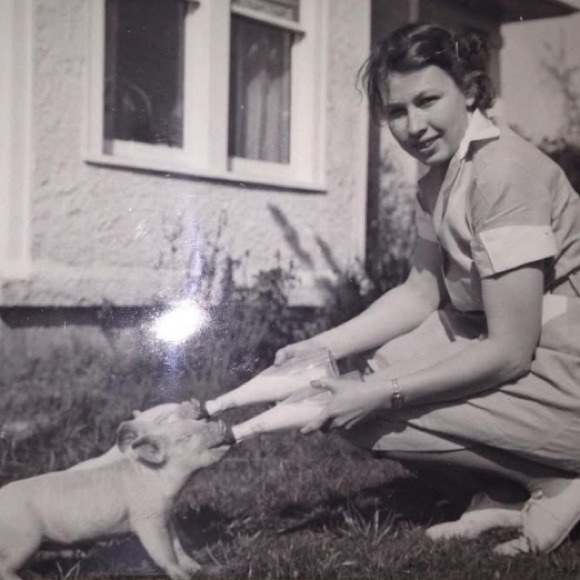 ♥️ Like and share to be notified when I go live.. - Picture 15 of 16